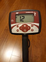 Minelab X-terra 305