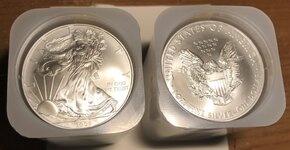 1 tube (20) 2008 Silver American Eagles