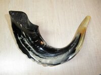 For Sale Two Shofars made in Israel